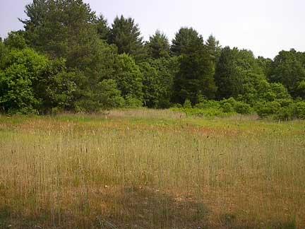 John Tefft Land